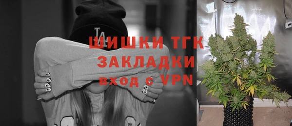 хмурый Арсеньев