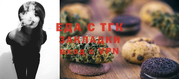 хмурый Арсеньев
